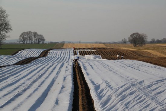 Gut-Schirnau_Feld.jpeg
